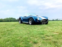 1992 Shelby Cobra for sale in Michigan (ID-124682)