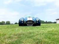 1992 Shelby Cobra for sale in Michigan (ID-124682)