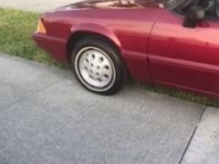 1993 Ford Mustang for sale in Michigan (ID-89962)