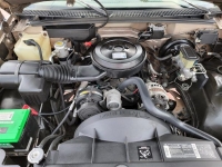 1993 Chevrolet C1500 for sale (ID-102840)