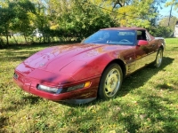 1993 Chevrolet Corvette for sale in Michigan (ID-97515)
