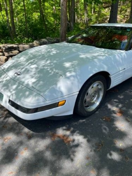 1993 Chevrolet Corvette for sale in Michigan (ID-101408)