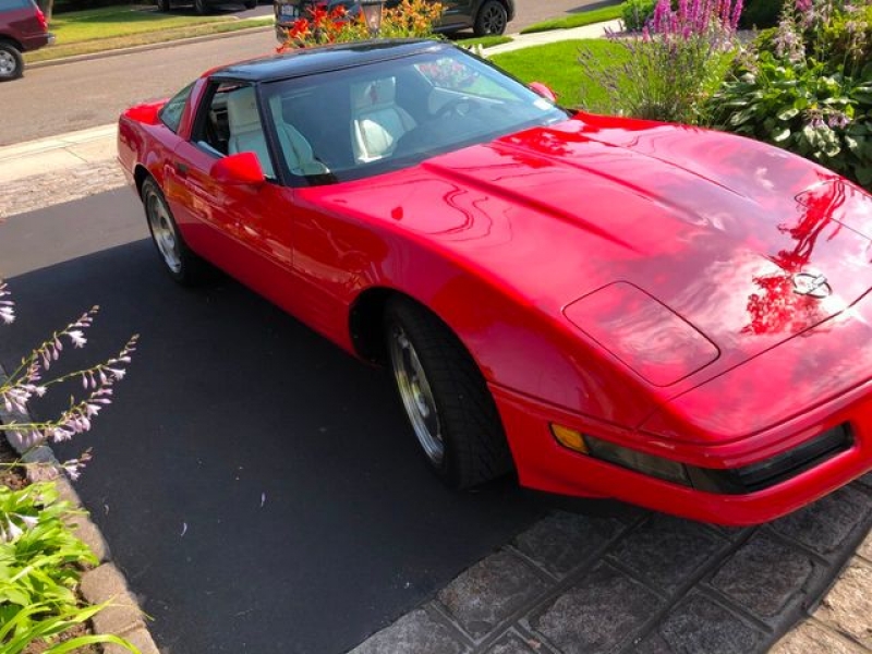1993 Chevrolet Corvette for sale in Riverhead, New York (ID-102972)