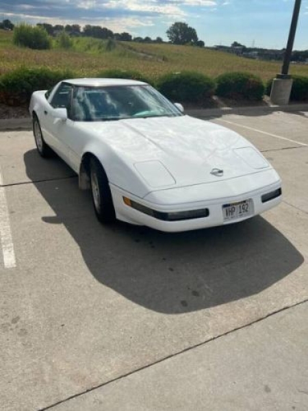 1993 Chevrolet Corvette for sale in Michigan (ID-128005)
