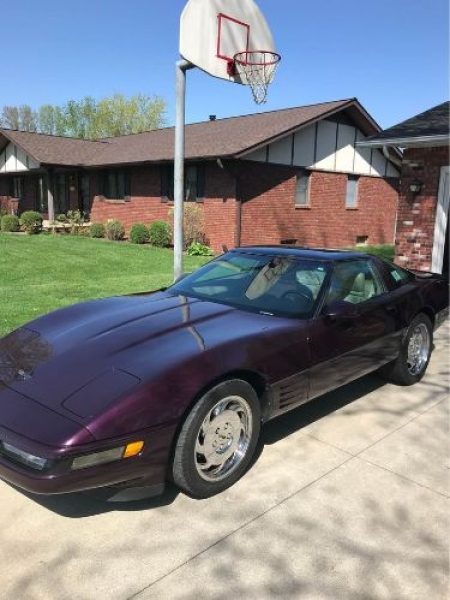 1993 Chevrolet Corvette for sale in Michigan (ID-130153)