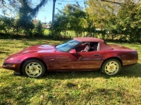 1993 Chevrolet Corvette for sale in Michigan (ID-130768)