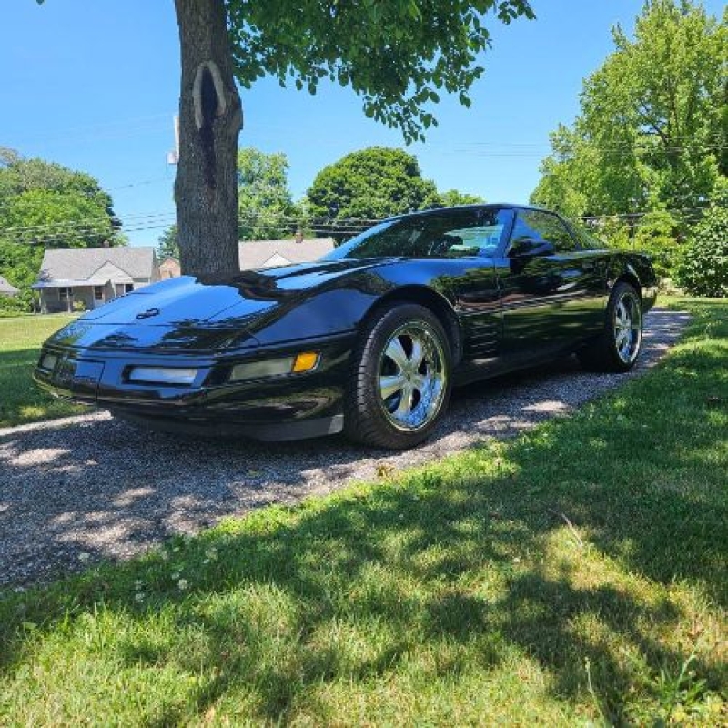 1993 Chevrolet Corvette for sale in Michigan (ID-130904)