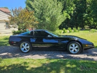 1993 Chevrolet Corvette for sale in Michigan (ID-130904)