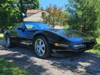 1993 Chevrolet Corvette for sale in Michigan (ID-130904)