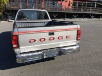1993 Dodge Dakota for sale in Michigan (ID-107882)