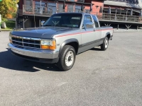 1993 Dodge Dakota for sale in Michigan (ID-107882)