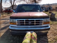 1993 Ford F150 for sale in Michigan (ID-114766)