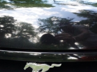 1993 Ford Mustang for sale in Michigan (ID-102907)