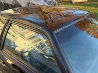 1993 Ford Mustang for sale in Michigan (ID-146513)