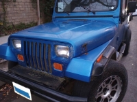 1993 Jeep Wrangler for sale in Michigan (ID-124313)