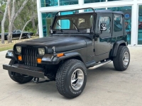 1993 Jeep Wrangler for sale in Riverhead, New York (ID-124575)