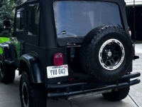1993 Jeep Wrangler for sale in Michigan (ID-146031)