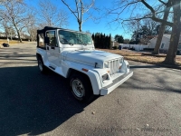 1993 Jeep Wrangler for sale in Riverhead, New York (ID-156086)
