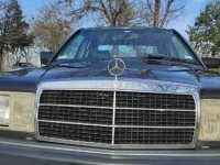 1993 Mercedes-Benz 190E for sale in Michigan (ID-138325)