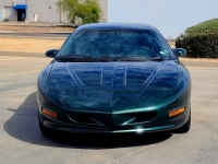 1993 Pontiac Firebird for sale in Michigan (ID-113128)