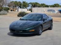 1993 Pontiac Firebird for sale in Michigan (ID-113128)