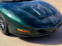 1993 Pontiac Firebird for sale in Michigan (ID-113128)