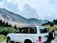 1993 Toyota Land Cruiser for sale in Michigan (ID-164515)