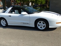 1994 Pontiac Firebird for sale in Michigan (ID-92520)