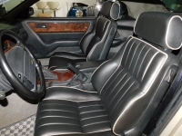 1994 Aston Martin Valante for sale in Michigan (ID-137312)
