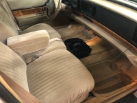 1994 Buick LeSabre for sale in Michigan (ID-162786)