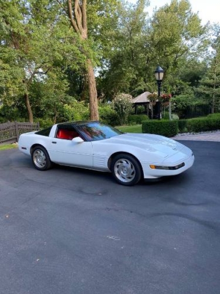1994 Chevrolet Corvette for sale in Michigan (ID-133863) 1994 Chevrolet Corvette for sale in Michigan (ID-133863)