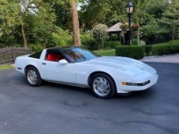 1994 Chevrolet Corvette for sale in Michigan (ID-133863)