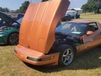 1994 Chevrolet Corvette for sale in Michigan (ID-135565)