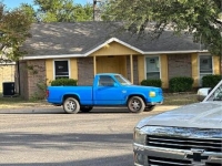1994 Dodge Dakota for sale in Michigan (ID-123103)