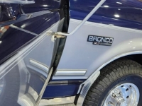 1994 Ford Bronco for sale in Michigan (ID-136193)