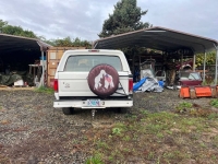1994 Ford Bronco for sale in Michigan (ID-140148)