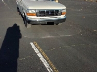 1994 Ford F150 for sale in Michigan (ID-139000)
