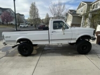 1994 Ford F250 for sale in Michigan (ID-142488)