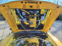 1994 Ford Mustang GT for sale in Michigan (ID-122982)