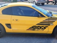 1994 Ford Mustang GT for sale in Michigan (ID-122982)