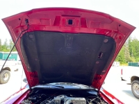 1994 Ford Mustang GT for sale in Michigan (ID-132750)