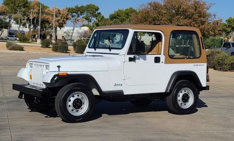 1994 Jeep Wrangler for sale in Michigan (ID-109514)