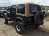 1994 Jeep Wrangler for sale in Michigan (ID-133499)