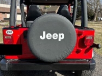 1994 Jeep Wrangler for sale in Michigan (ID-139204)