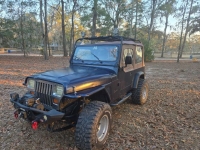 1994 Jeep Wrangler for sale in Michigan (ID-139430)