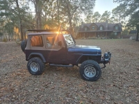 1994 Jeep Wrangler for sale in Michigan (ID-139430)
