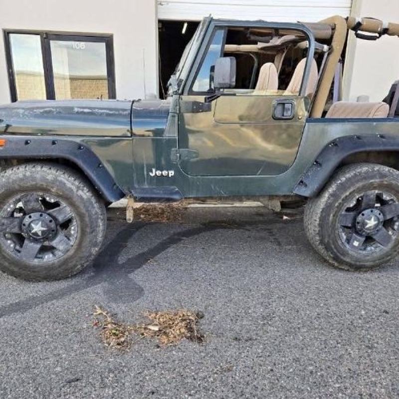 1994 Jeep Wrangler for sale in Michigan (ID-141078) 1994 Jeep Wrangler for sale in Michigan (ID-141078)
