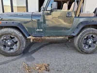 1994 Jeep Wrangler for sale in Michigan (ID-141078)