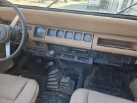 1994 Jeep Wrangler for sale in Michigan (ID-141078)