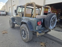 1994 Jeep Wrangler for sale in Michigan (ID-141078)